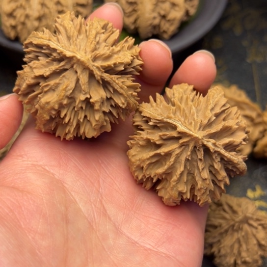 文玩核桃把件孤*秦岭核桃8