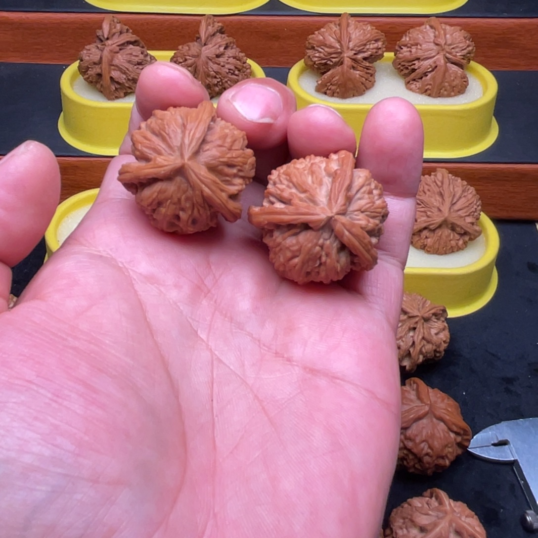 核桃手串/手链白狮子三棱34尺