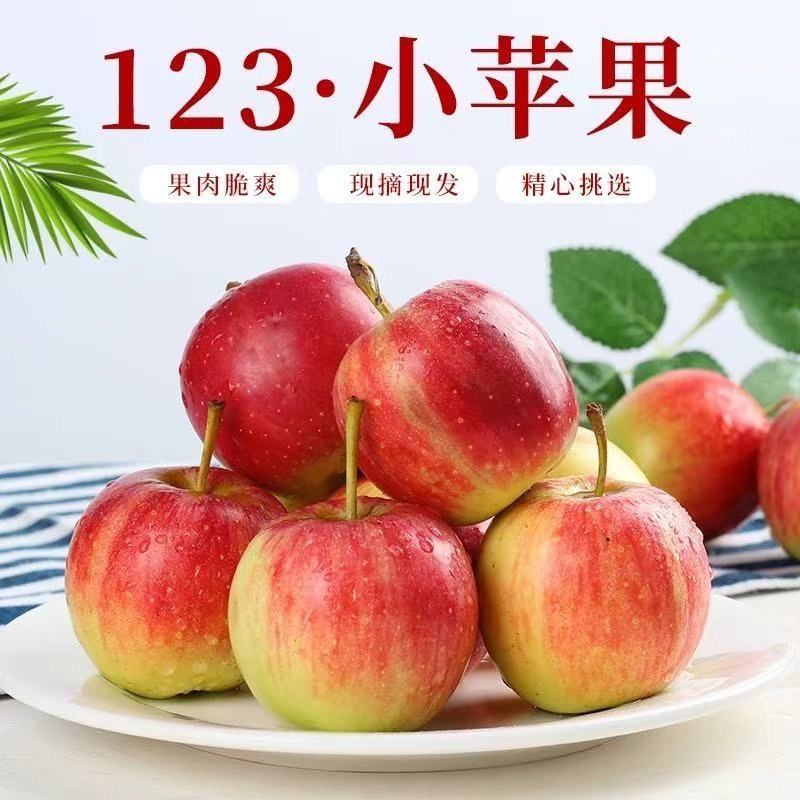 顺丰123小苹果酸甜口多汁新鲜现摘当季水果东北苹果