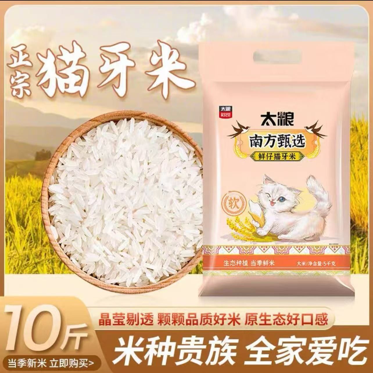 太粮鲜仔猫牙米5KG新米精选香稻贡米长颗粒现磨大米10斤装