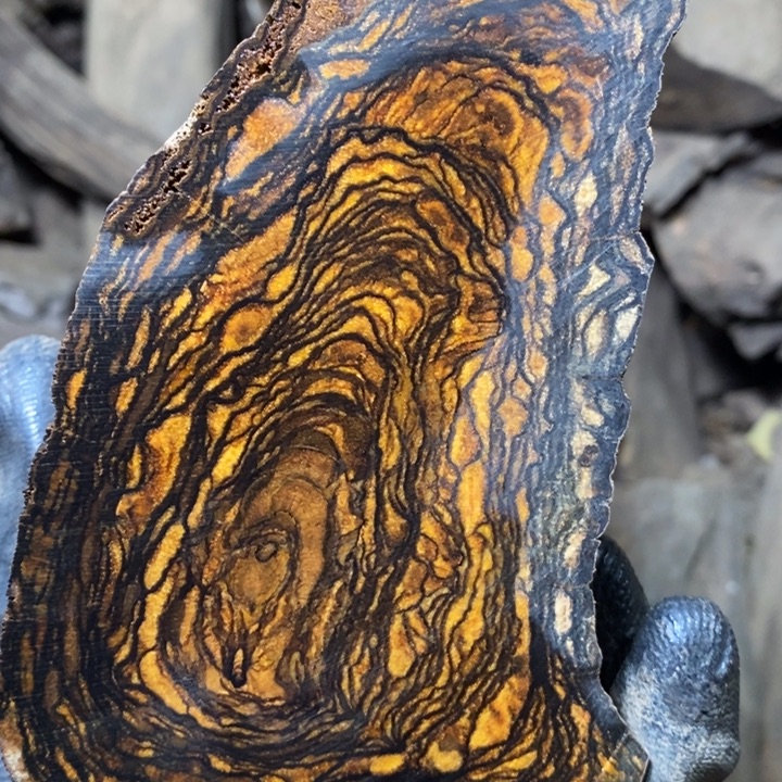 ****鱼贡木贡木手串定制一公分直发