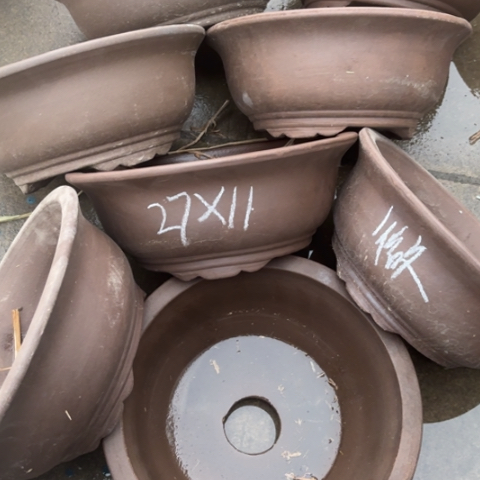 100-8。   微瑕27-11