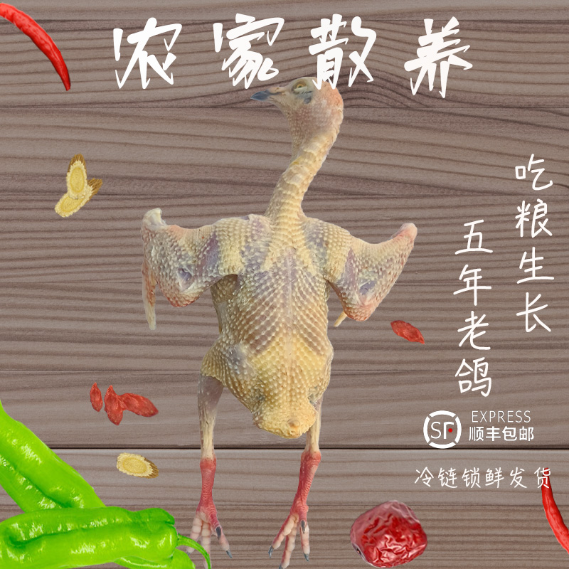 【5年老鸽】【3只顺丰包邮】现杀新鲜笨土鸽子煲汤吃粮食喂养散养散放