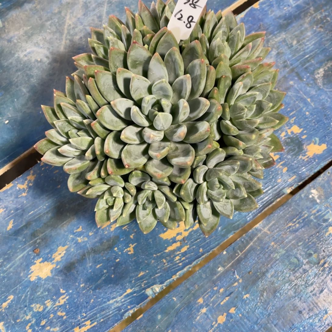 小***@一物一拍中通快递