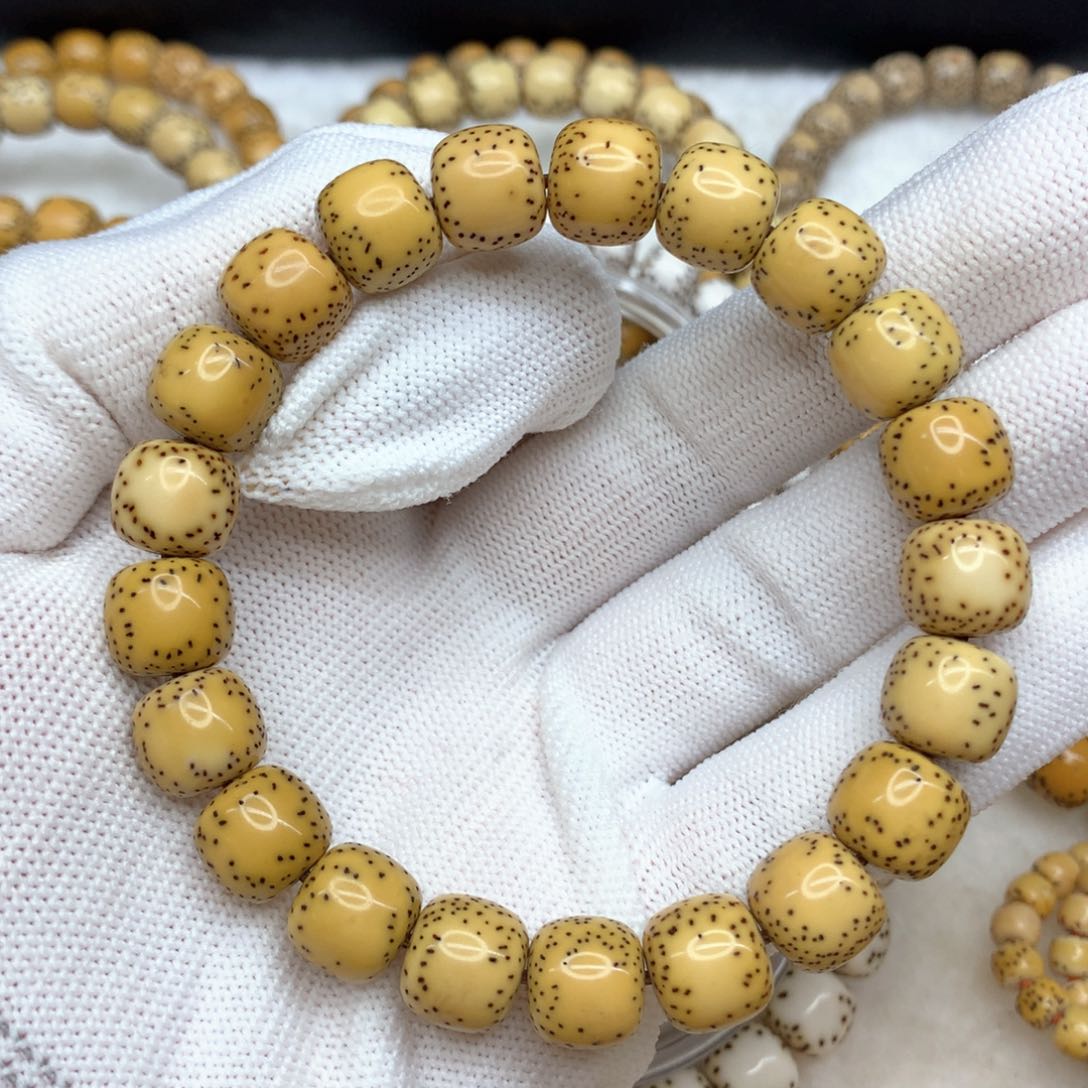 星月菩提吊坠星月菩提11原白大留白火龙果星点同枝一物一图