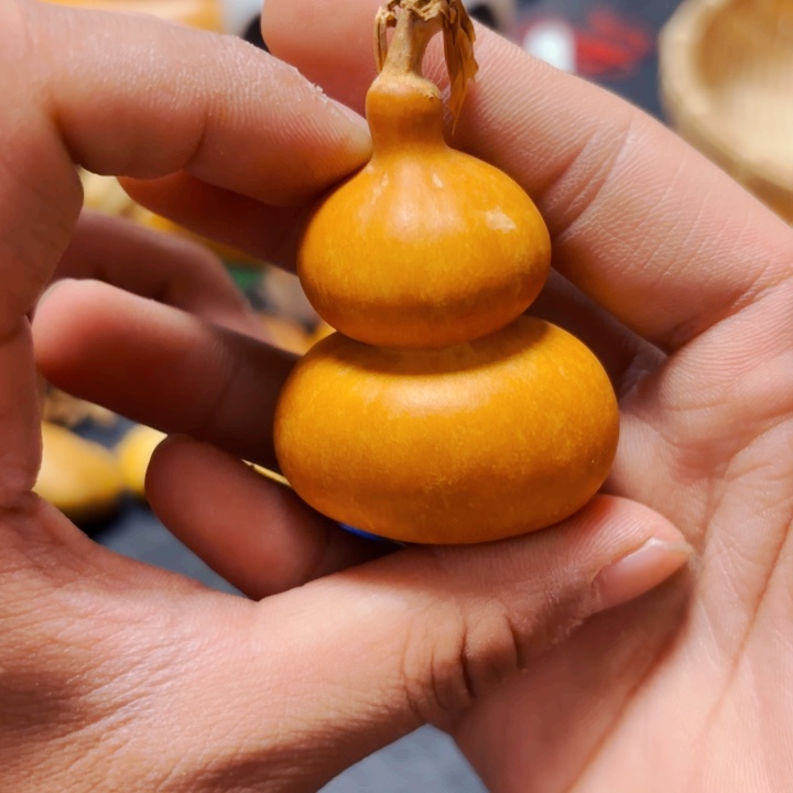 Y****188888888888888888