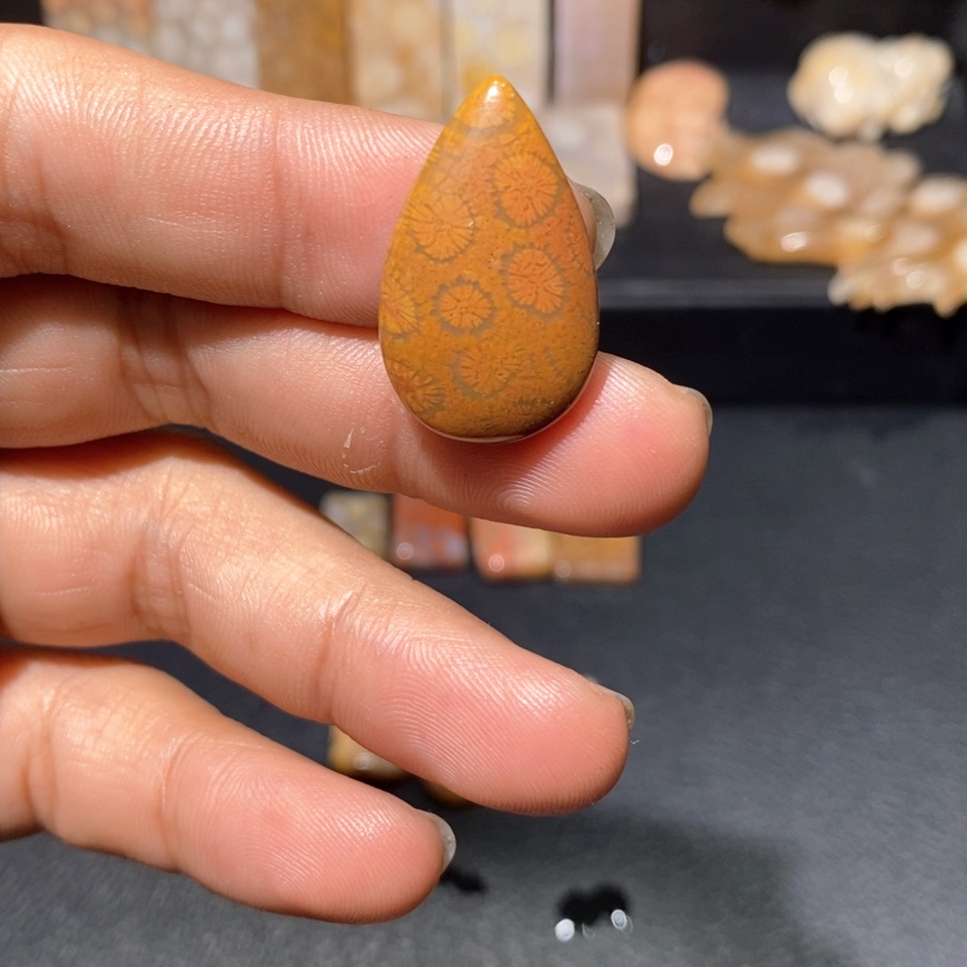 【闪购商品】硅化玉颈饰未镶嵌