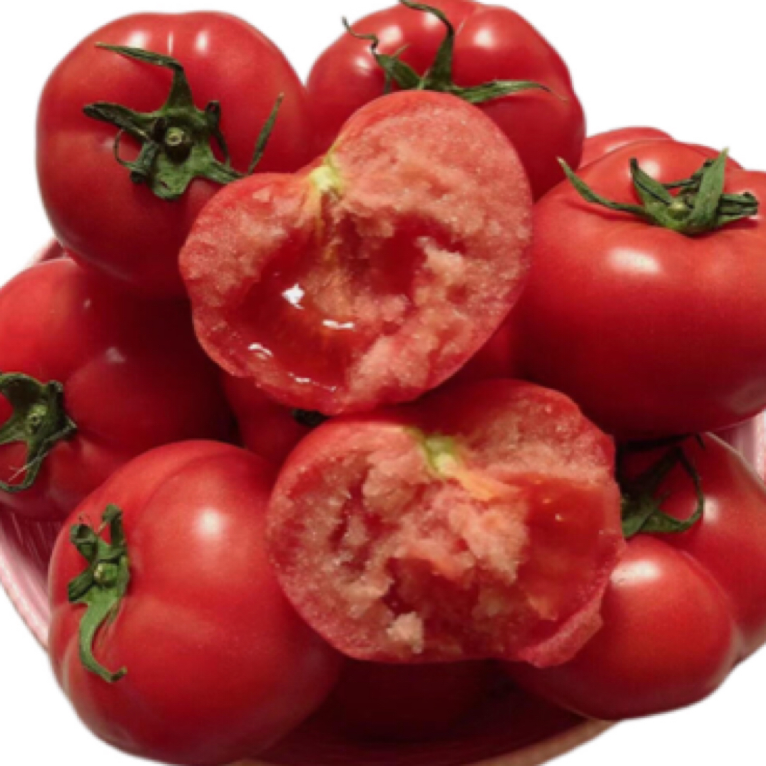 【北方农场】自产普罗旺斯西红柿