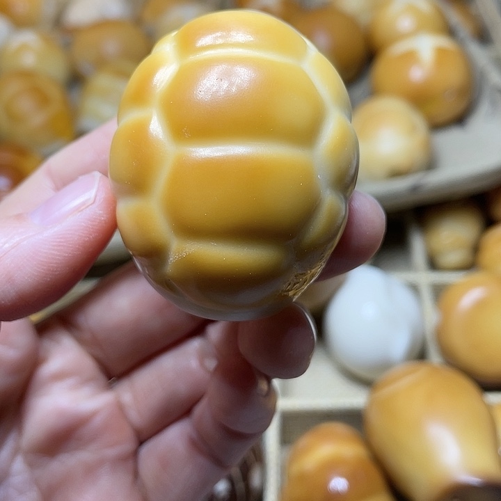 菩提根/象牙果吊坠富甲4939