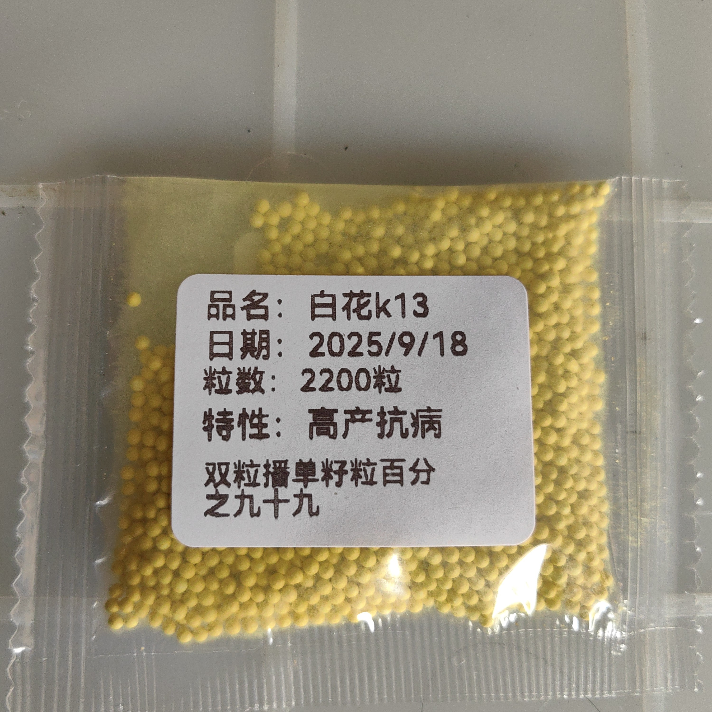 饵料白花k13合适云贵川高海拔