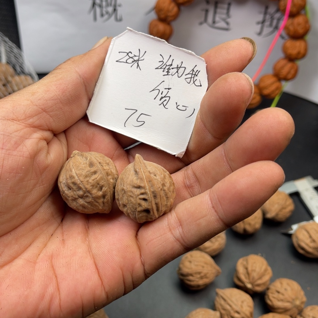 谁***心野生小核桃75颗28