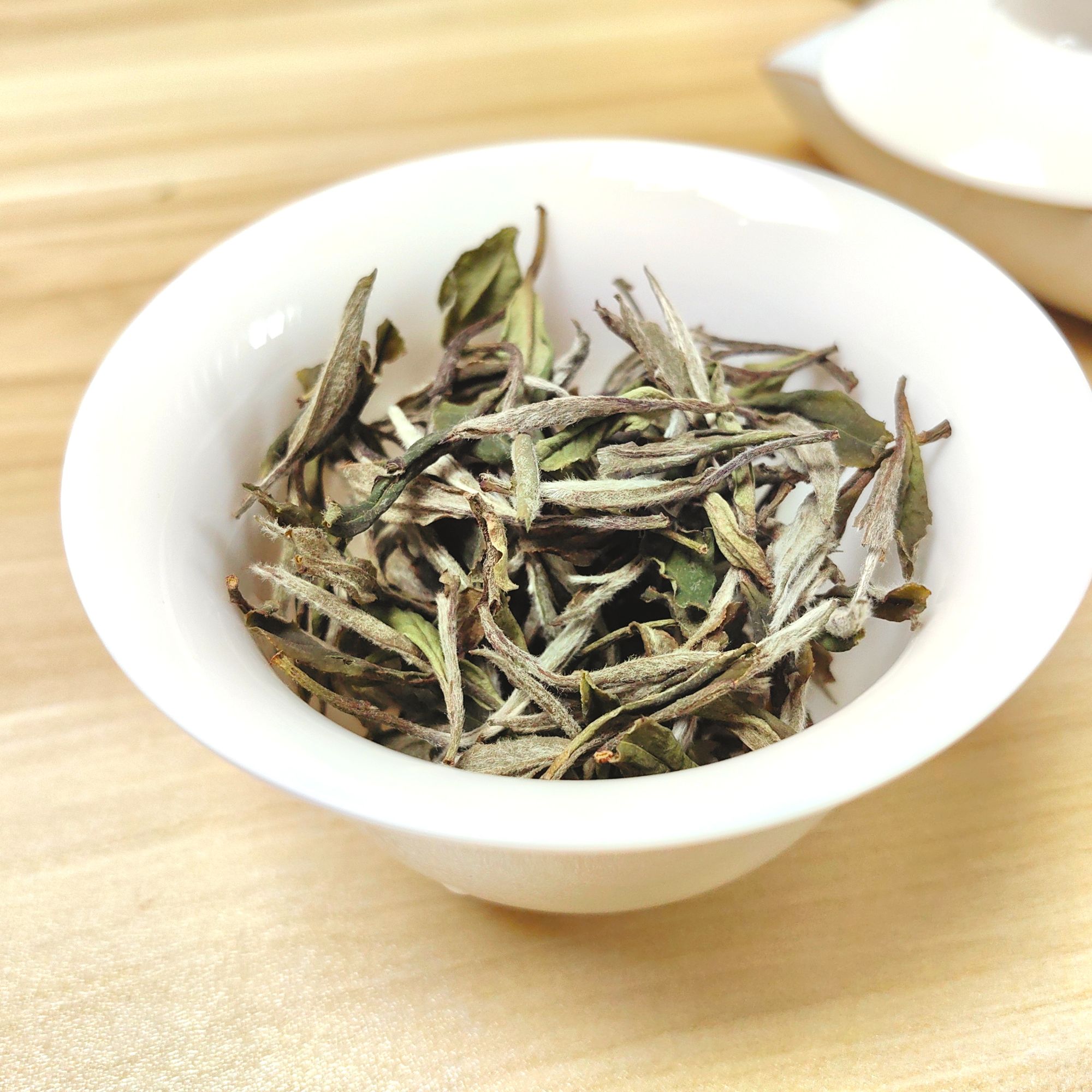 梁守艺2023年兰韵白牡丹高段位福鼎白茶白牡丹分享（懂货的来）