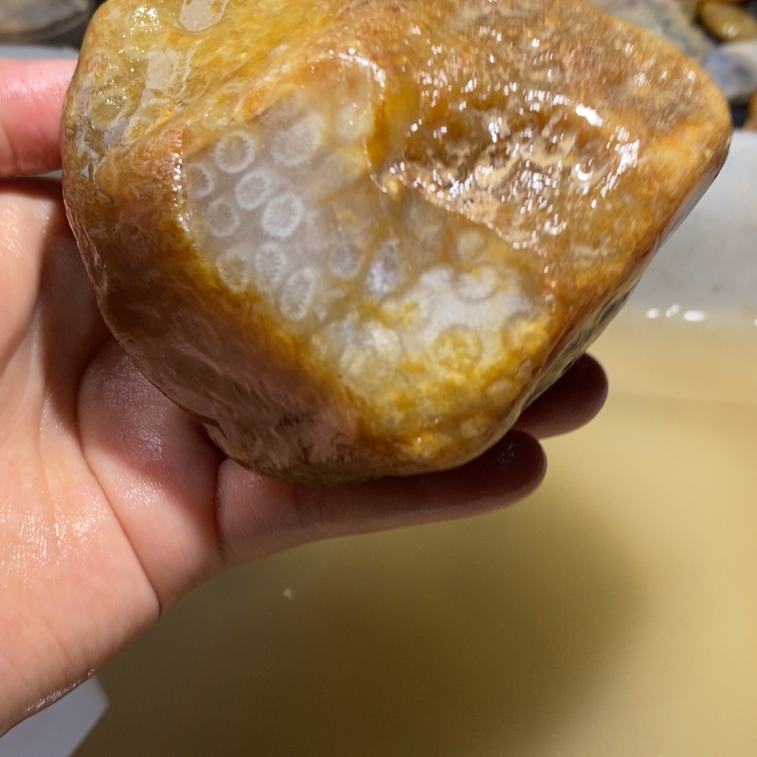 【闪购商品】硅化玉珊瑚玉未镶嵌