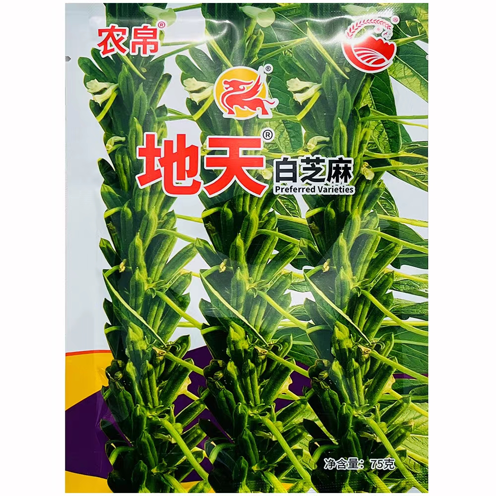 地天白芝麻种子早中熟矮杆单杆型白芝麻种子高产高油芝麻种子