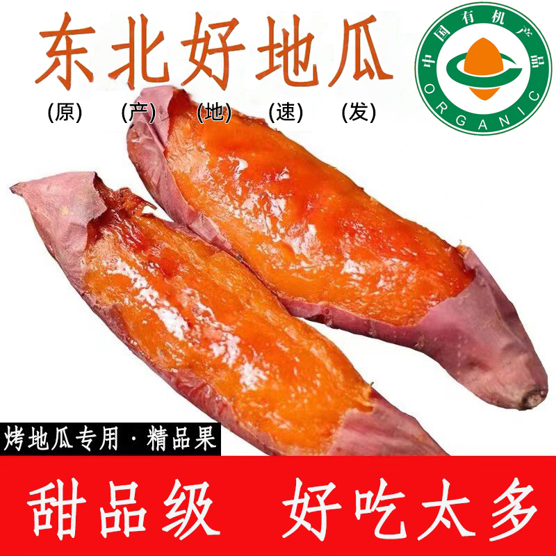 2025【新鲜有机】瓦房店地瓜东北沙地烤红薯蜜薯糖心榴莲烟薯25超甜