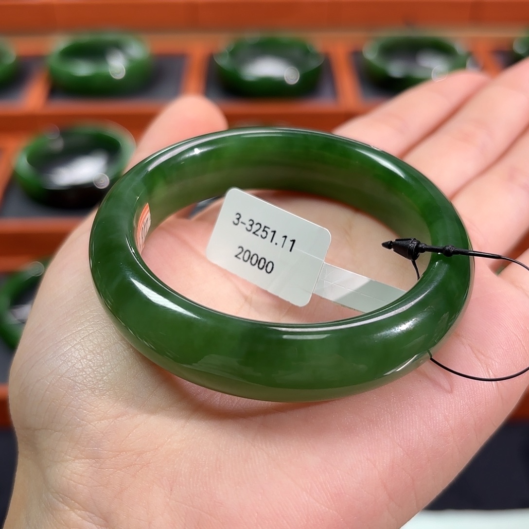 和田玉（碧玉）未镶嵌手镯辣绿绿猫5051