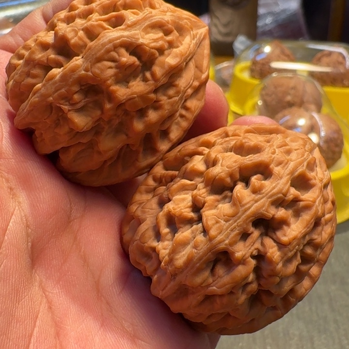 2025核桃季精品红锦鲤41.5