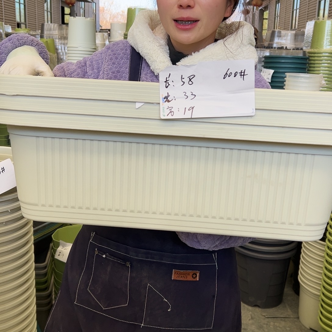 菜盆600#米白3个无托