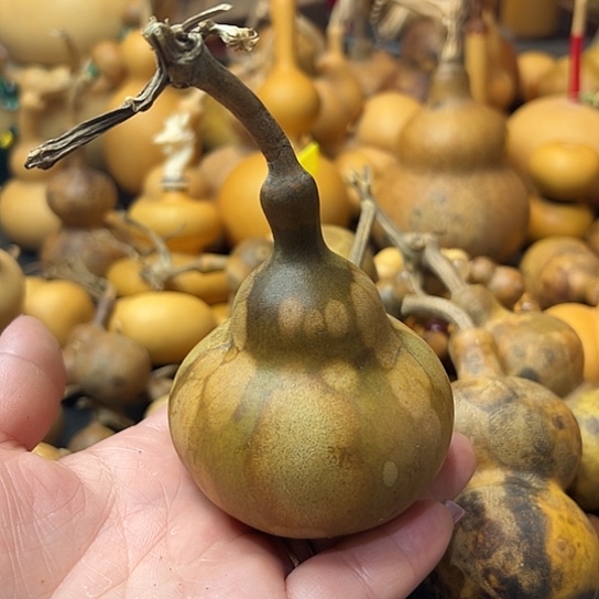 用****2葫芦葫芦葫芦葫芦