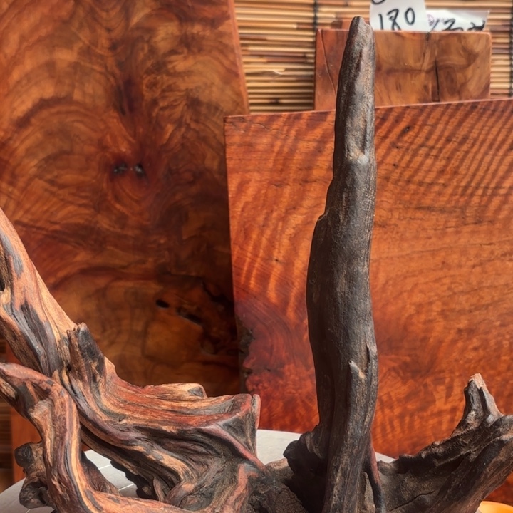 丽***君大叶紫檀（黑酸枝木类）