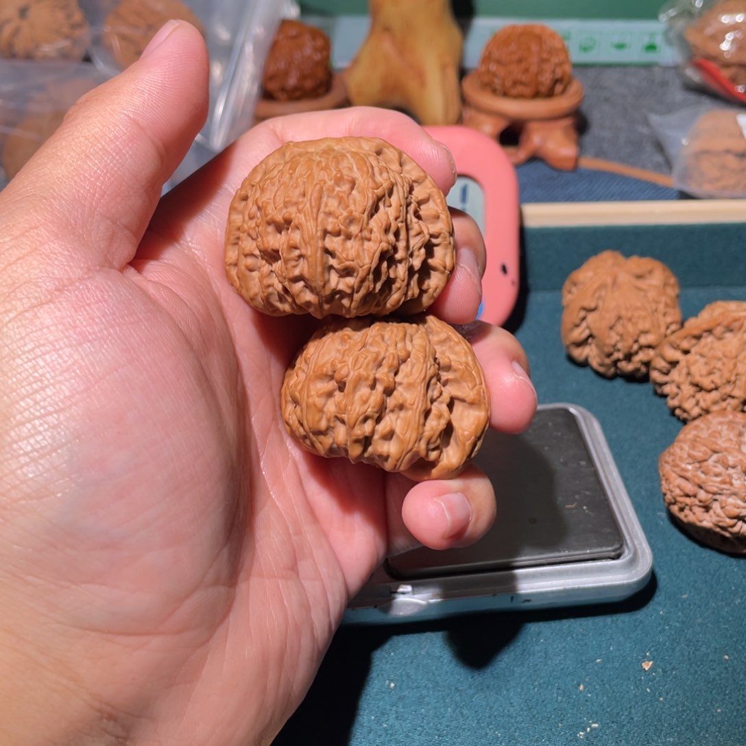 文玩核桃把件胖*仔55888999999