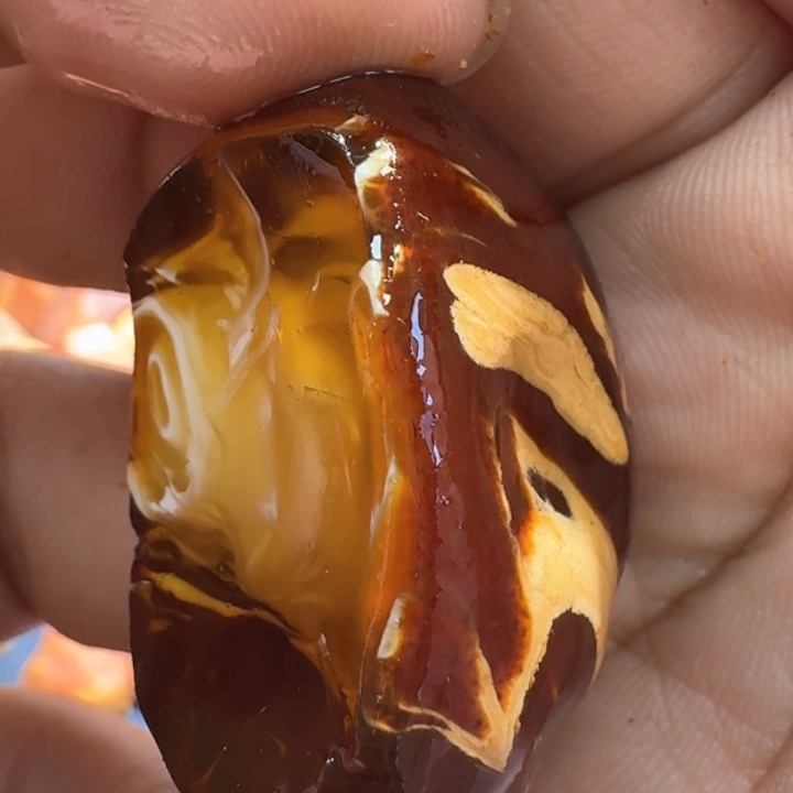 定制琥珀未镶嵌专拍