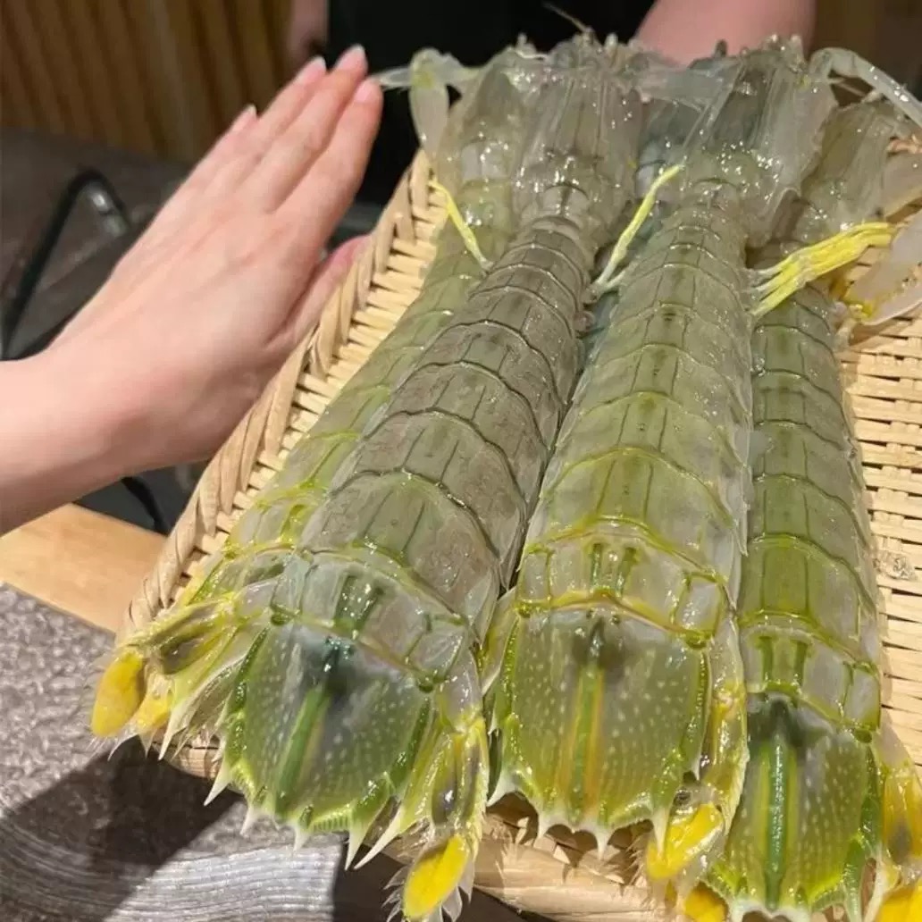 冰鲜不带膏富贵虾 江浙沪皖压冰发货【保鲜不保活】 其余省熟冻发货