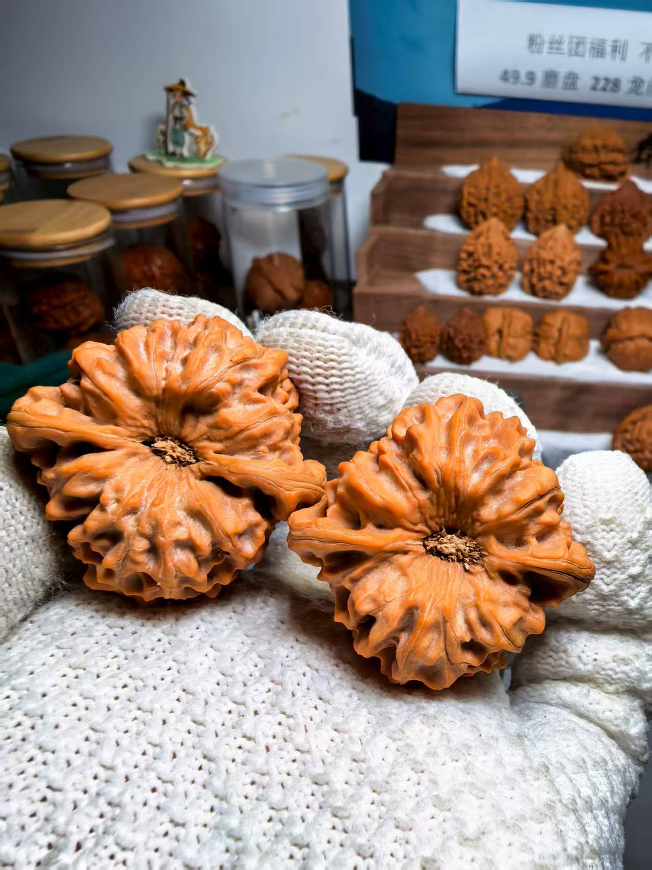 40龙门涧白茬全品 小虚尖