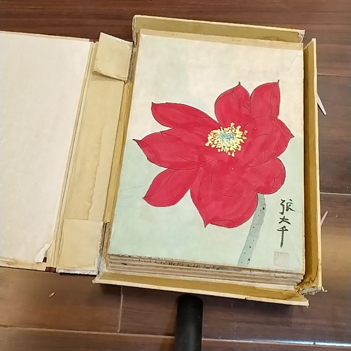 啊哈哈嘎嘎嘎嘎嘎