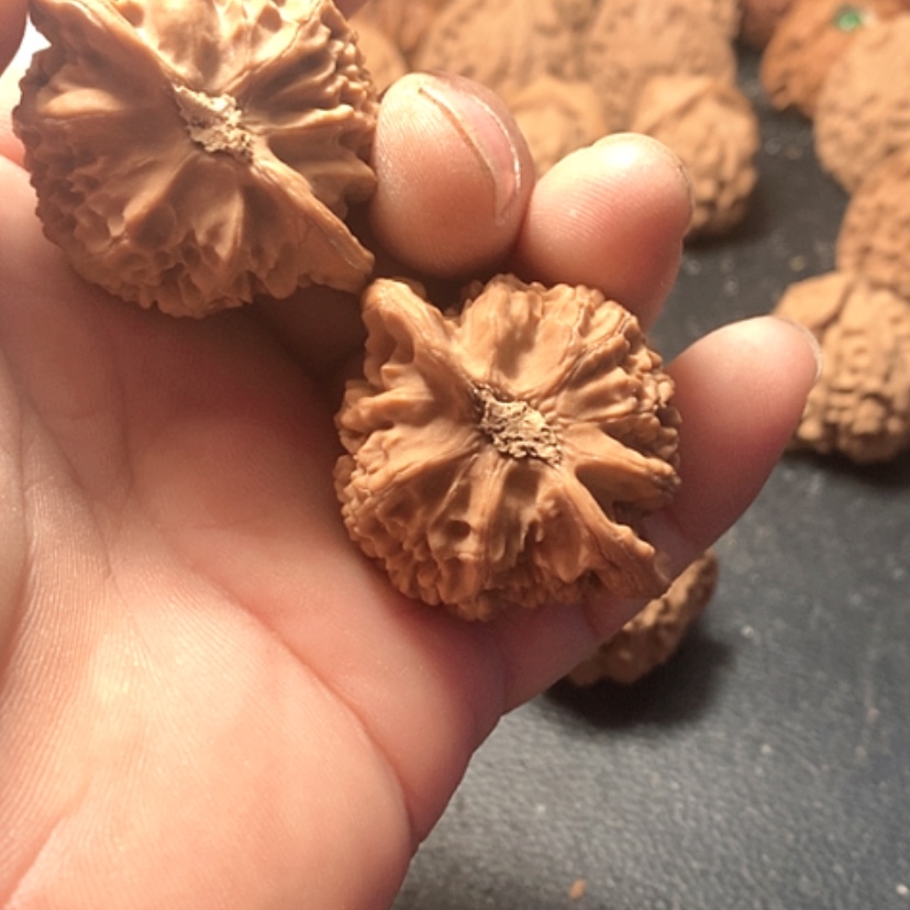 【闪购商品】我****。宫灯