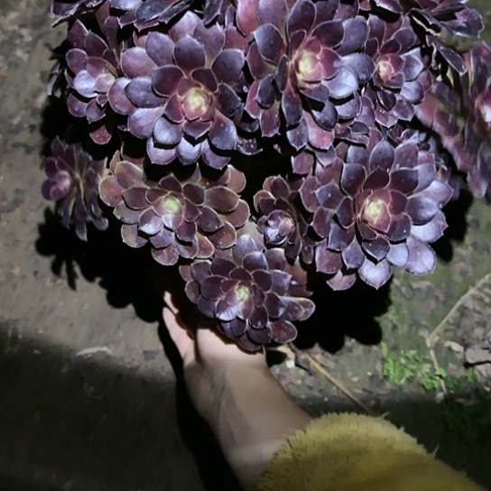 47加急发明天早上八点