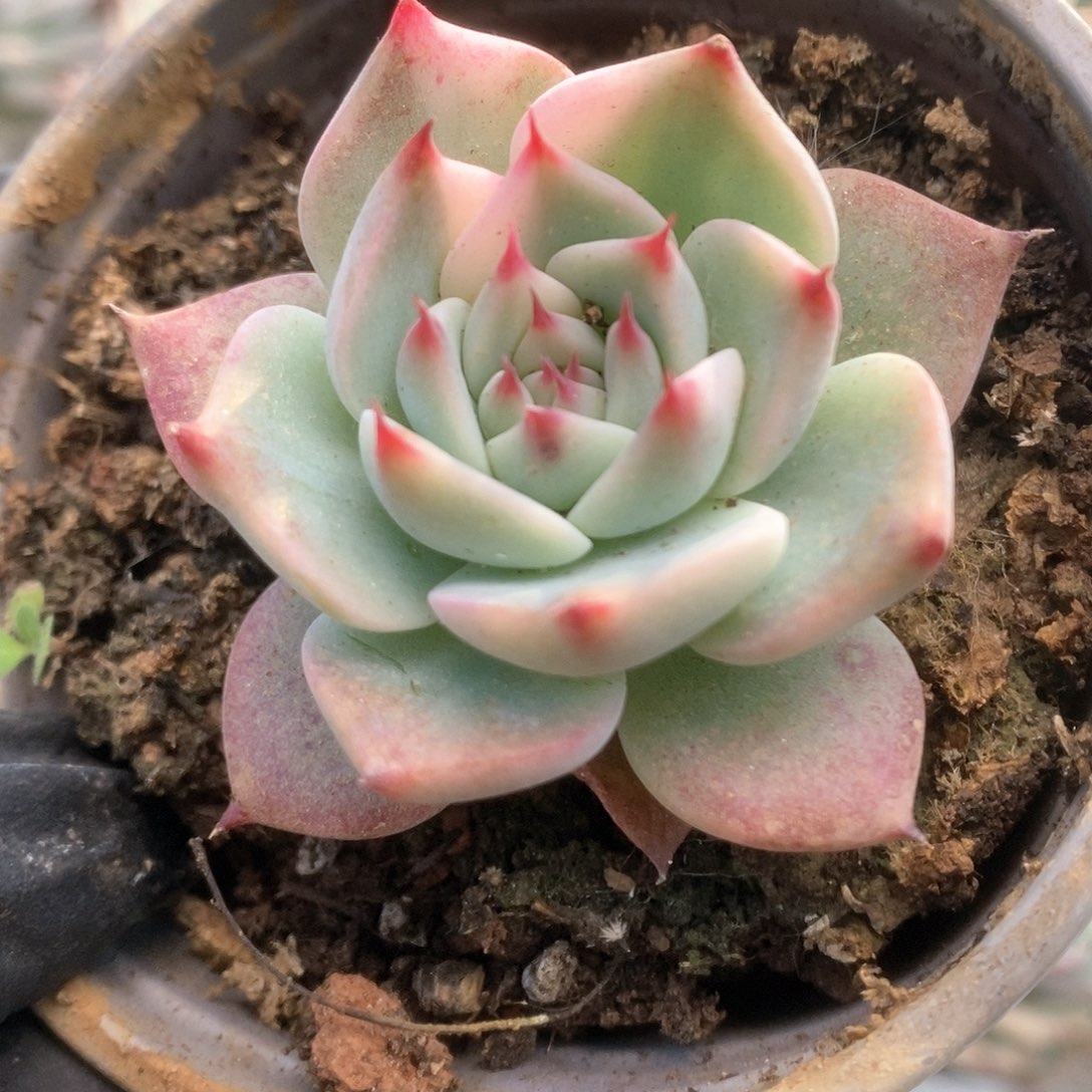 160锦锦锦锦锦锦锦