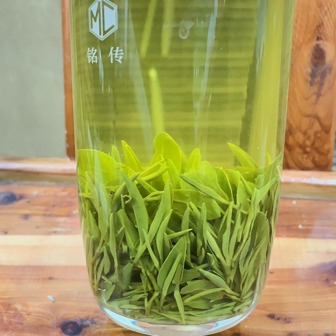 【320精品秋茶】2025周巷精品秋茶一芽一叶绿茶龙井