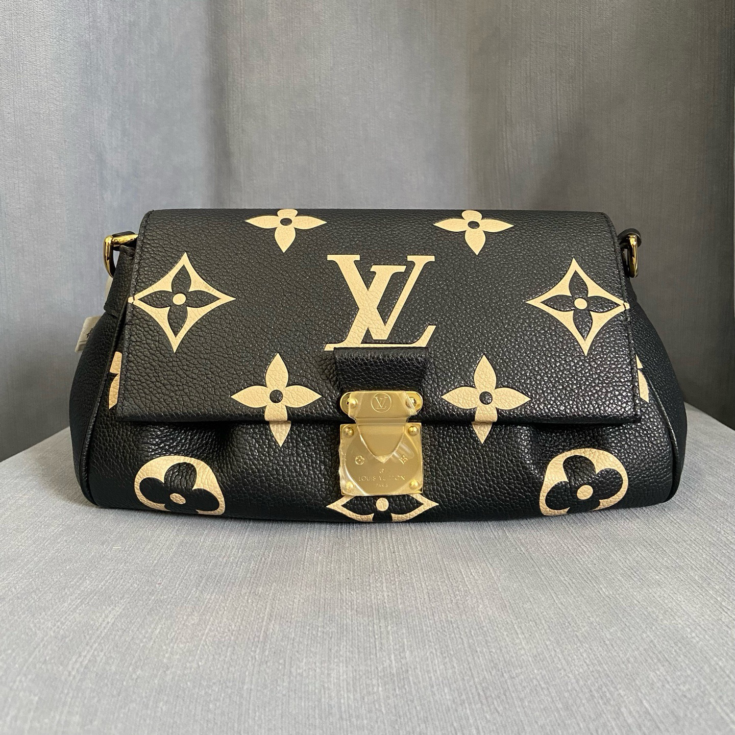 未使用 LouisVuitton/路易威登 未黑白花云朵 尺寸24*14*9