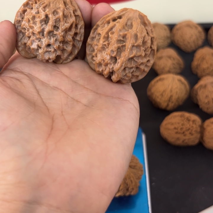 40尺寸原装苹果圆狮子头