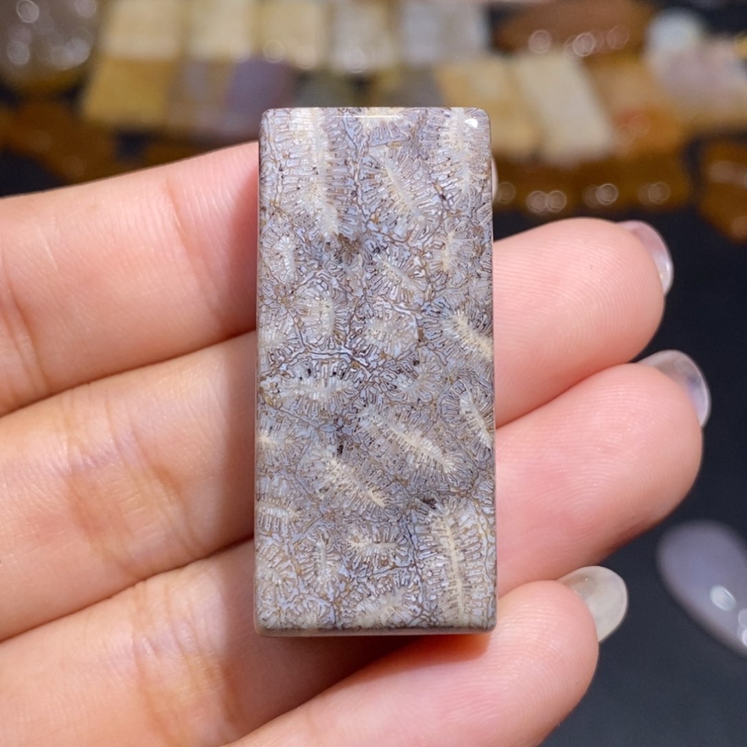 【闪购商品】硅化玉珊瑚玉未镶嵌
