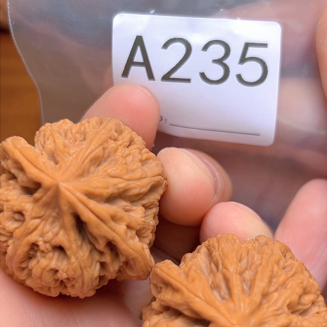 文玩核桃吊坠42大粗筋