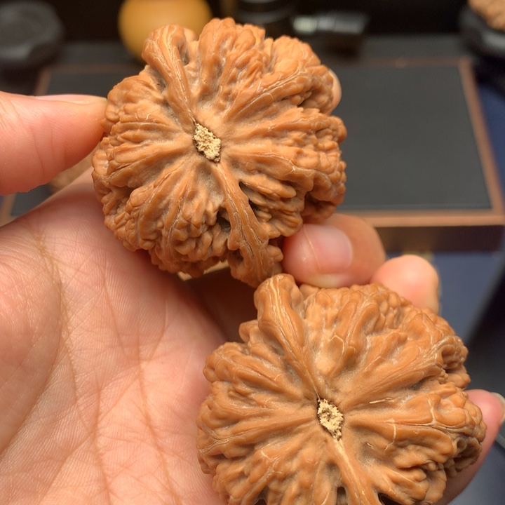 文玩核桃把件49大粗筋全品