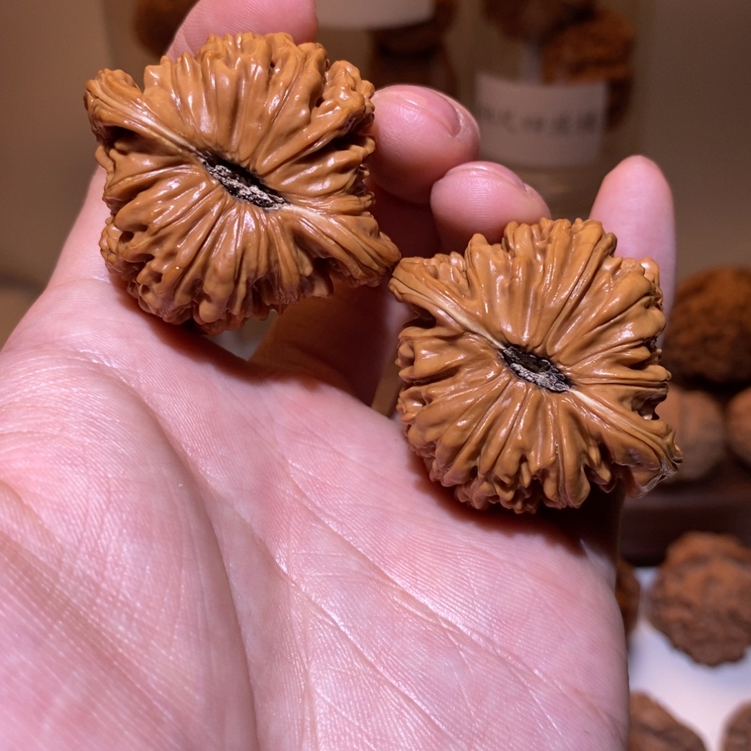 44尺 全品打好底 四座楼