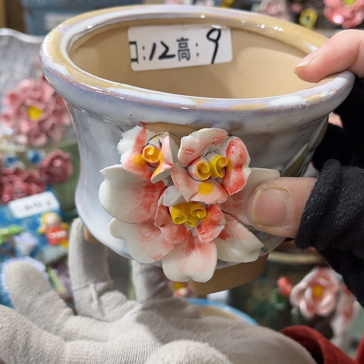 【闪购商品】红陶福利