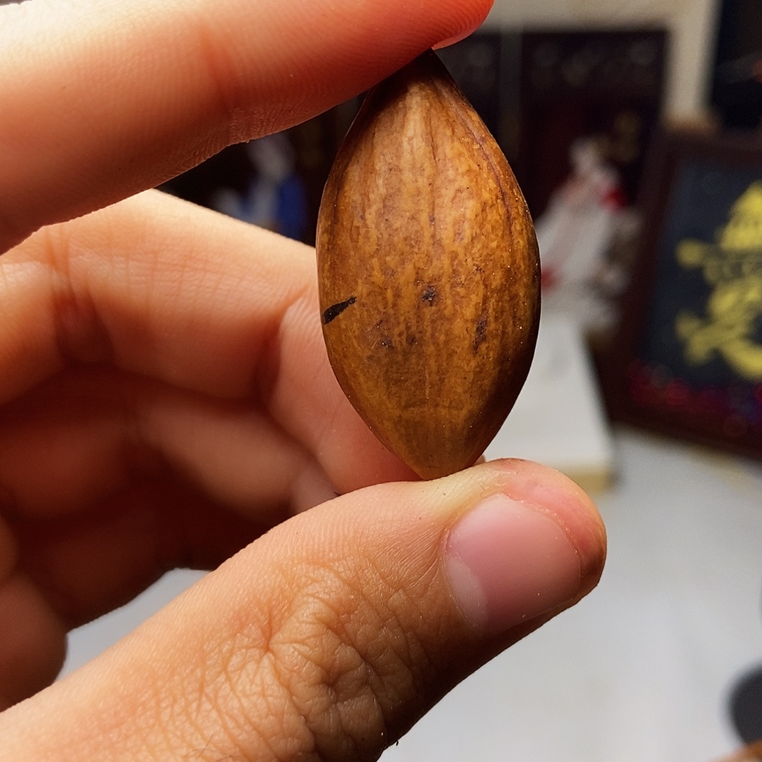 手串/手链橄榄核bhhhhhhhhhhhhhh