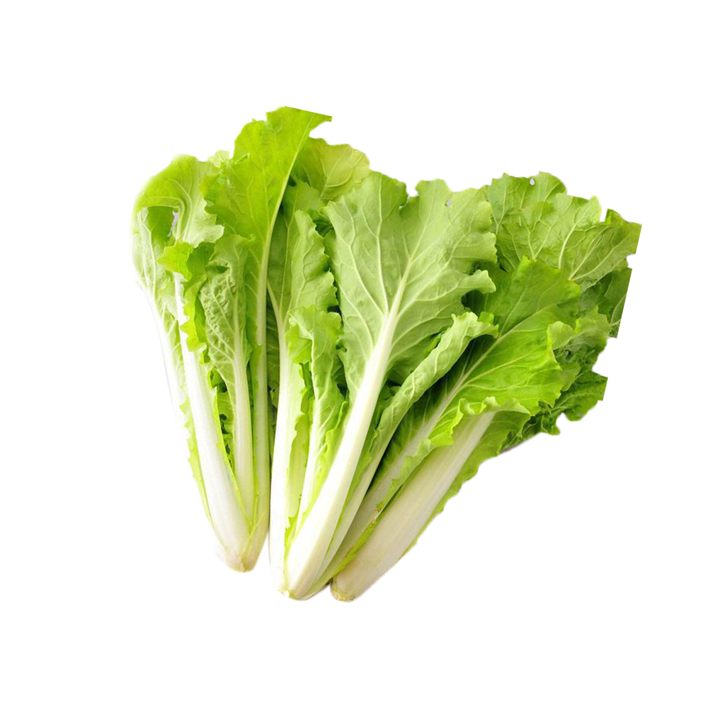 精品杭白菜 300g白菜
