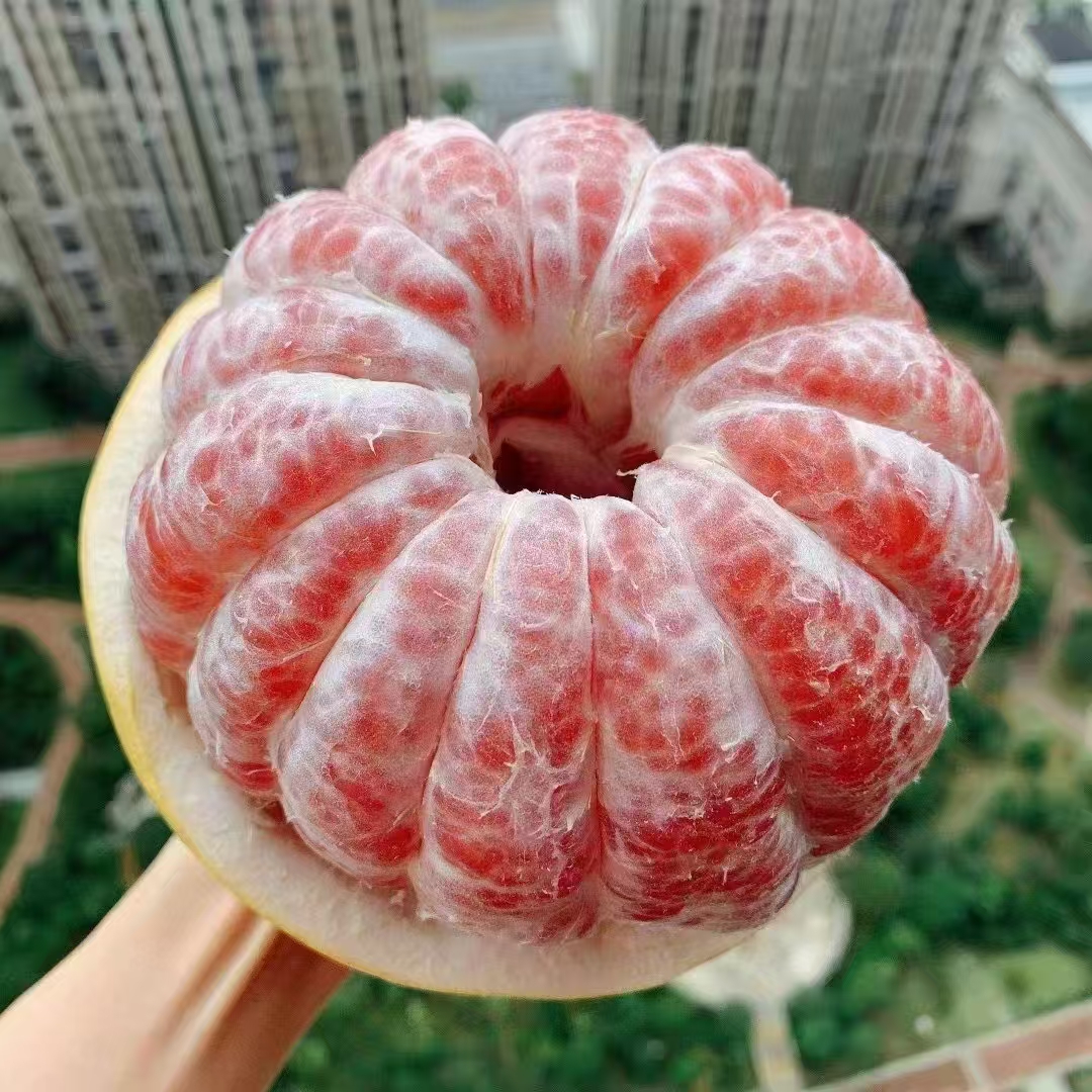 【水果】福建琯溪蜜柚红柚2个装