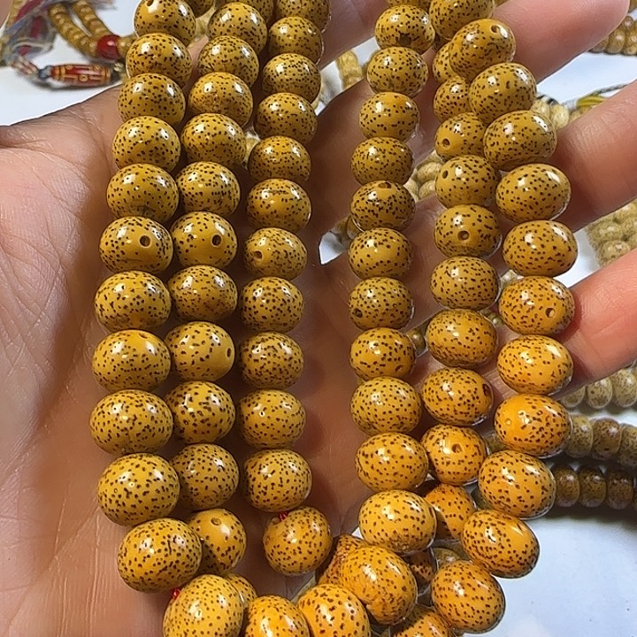 老脱脂星月菩提108