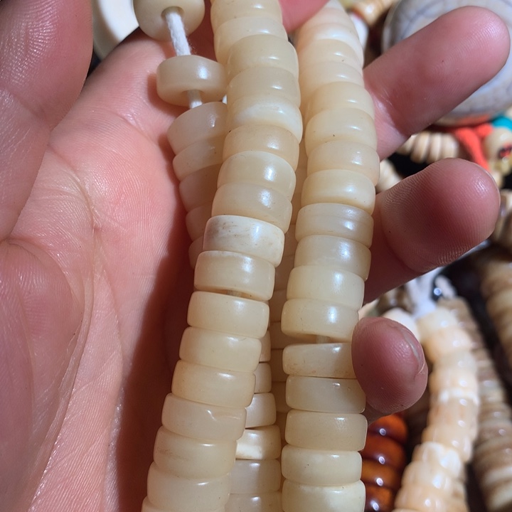 吊坠菩提根/象牙果