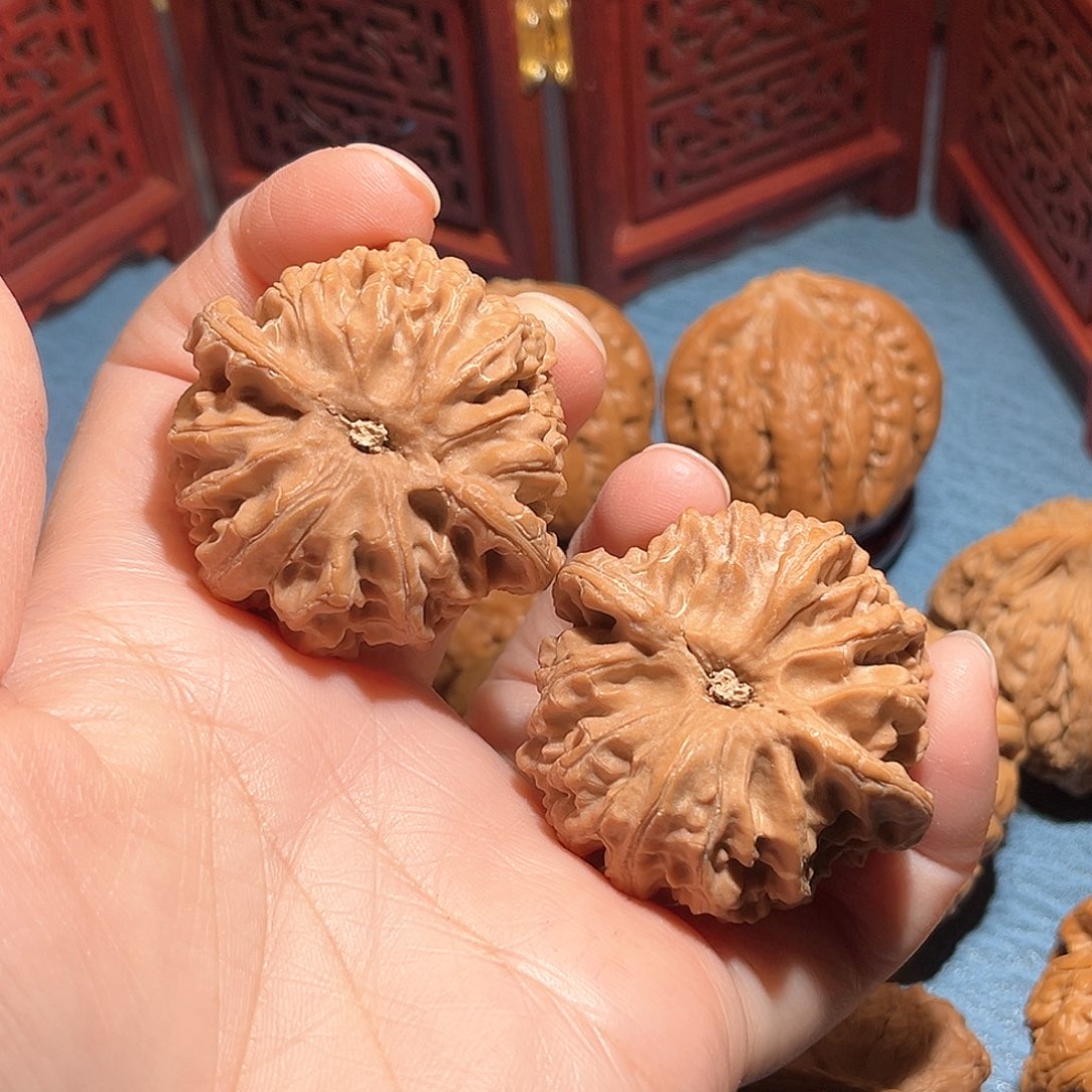 42全品肉球苹果……精品