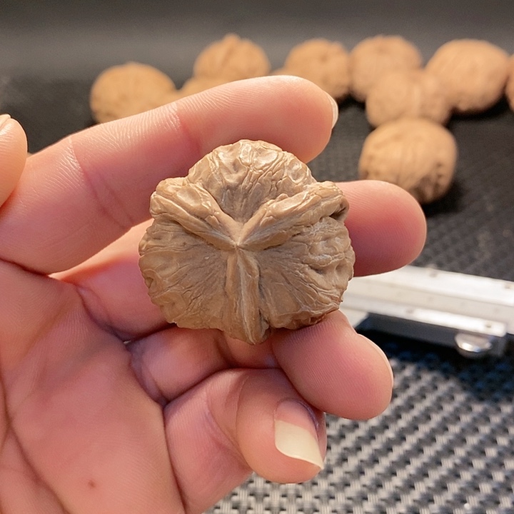 把件文玩核桃平谷元宝三棱奔全品