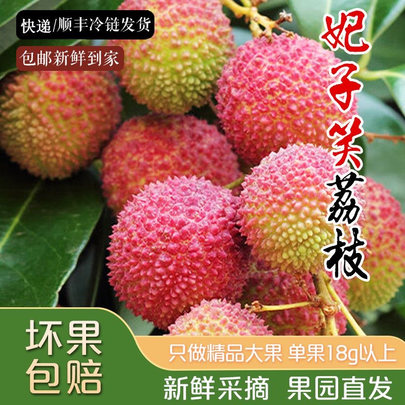 【现货，明天必达】2025新鲜妃子笑荔枝1500/2500g