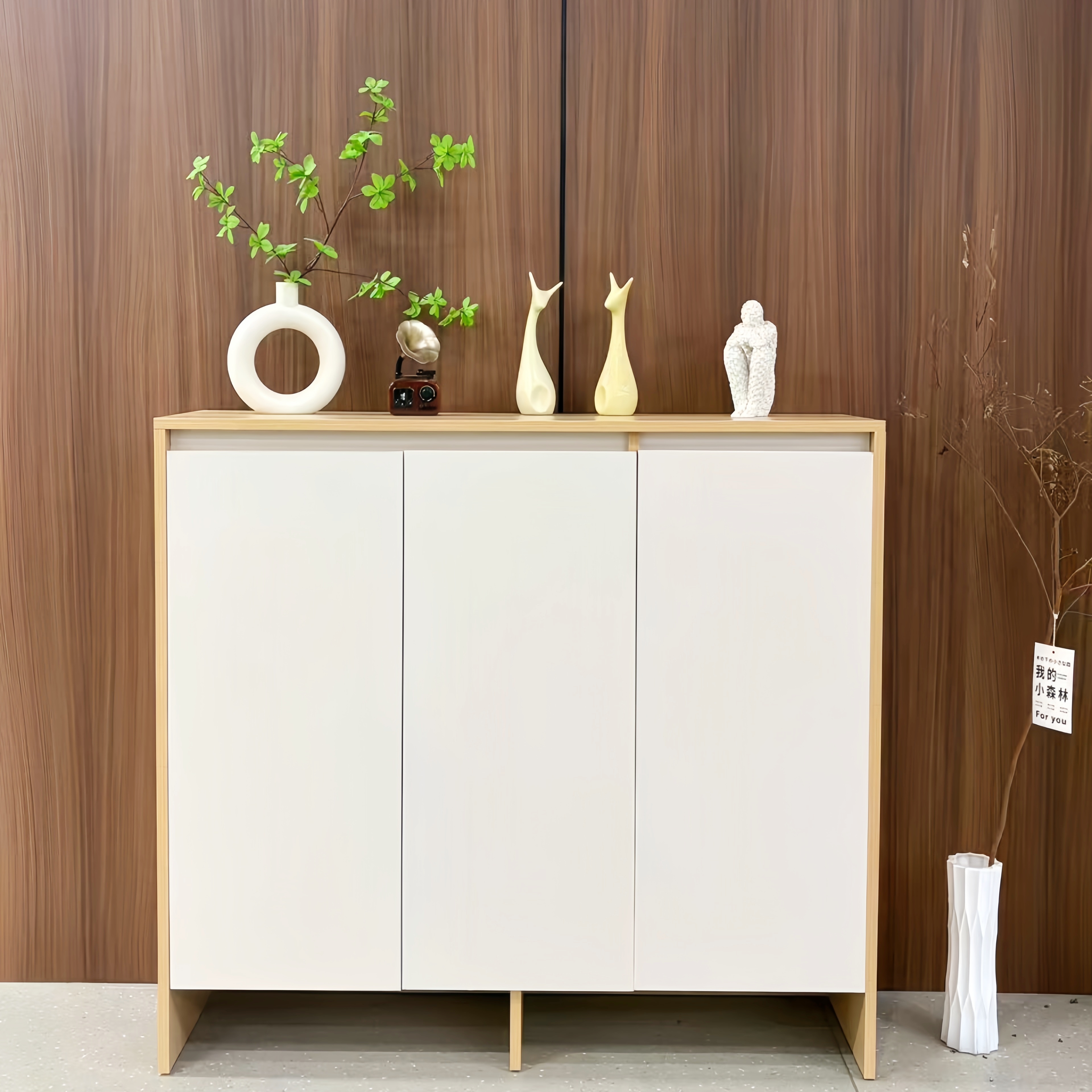 【源头工厂】2025入户家用玄关小窄门后口室内大容量多层鞋柜