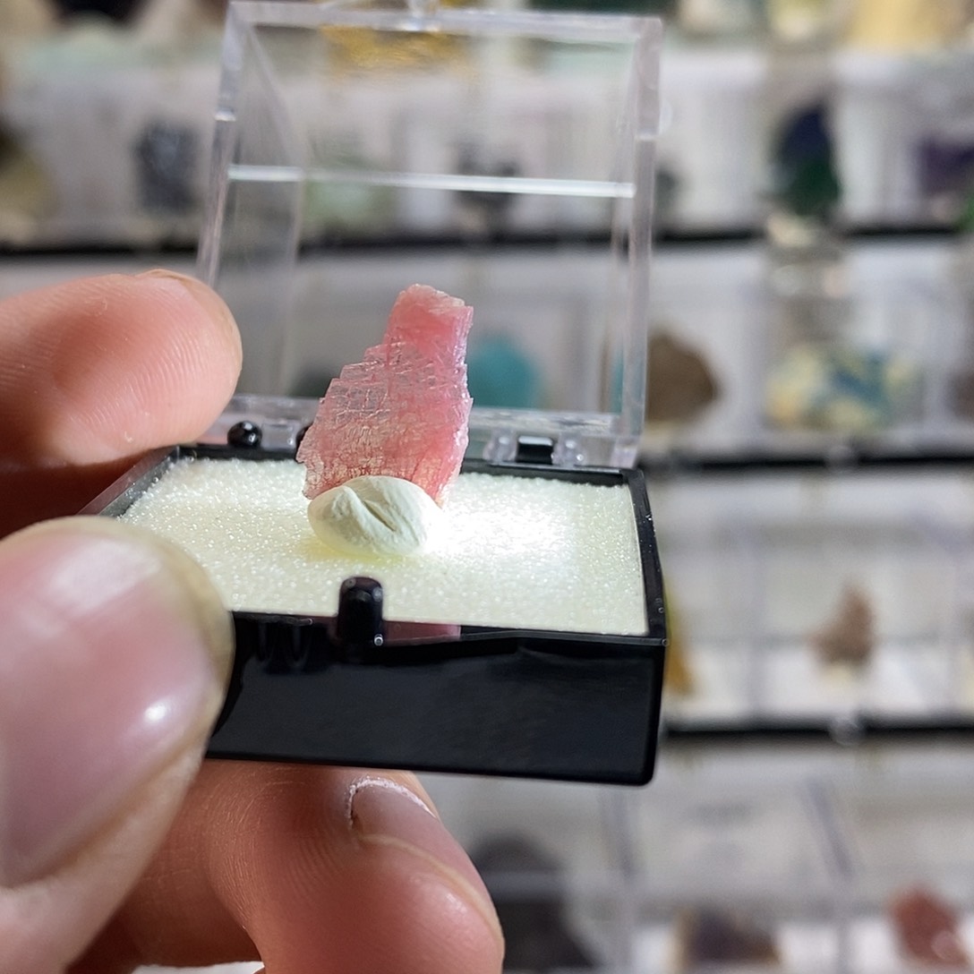 紫砂秘鲁蔷薇辉石